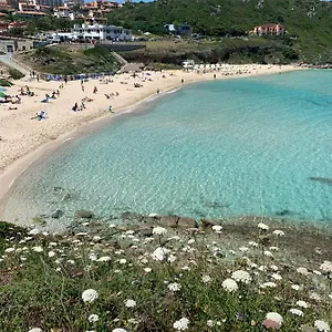 https://immobile-rena-bianca.in-sardinia.net